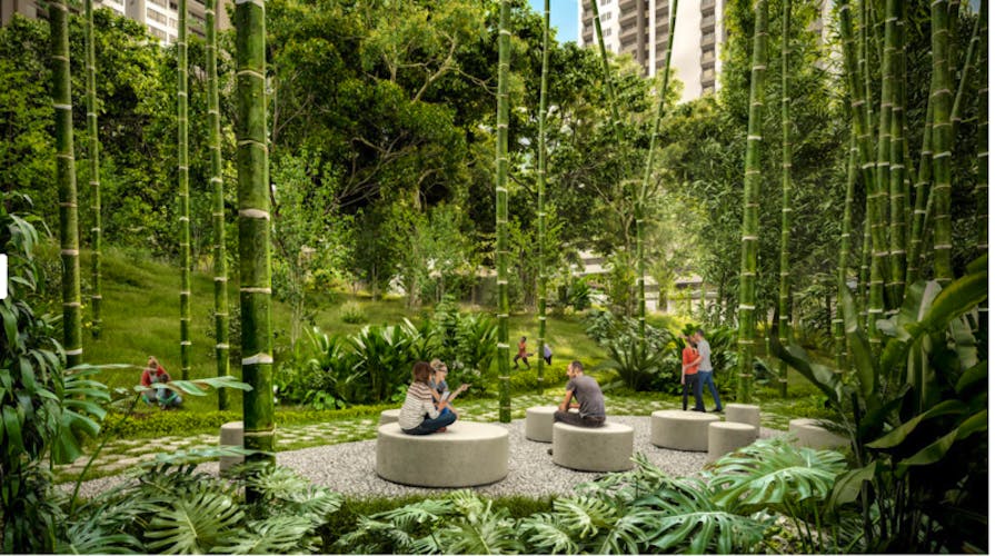 imagenes proyecto