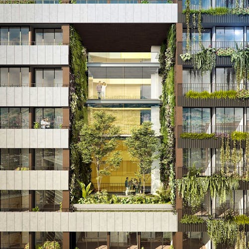 imagenes proyecto