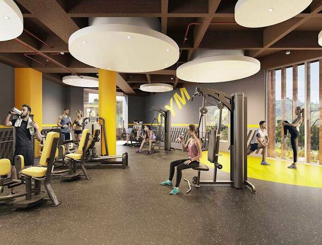 imagenes proyecto