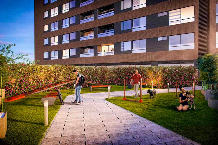 imagenes proyecto