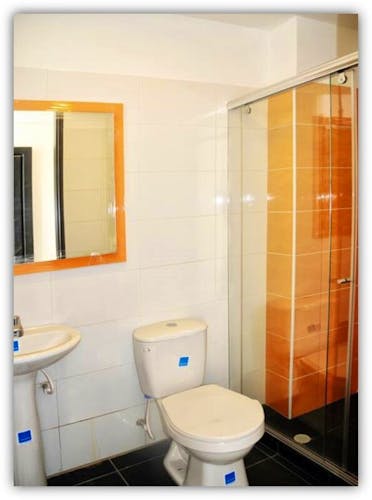 imagenes proyecto