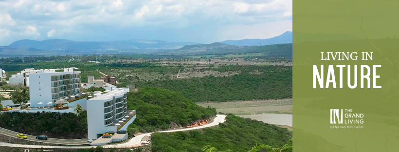 The Grand Living Cañadas del Lago en LaHaus