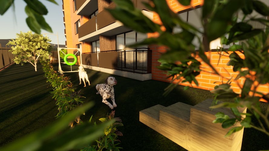 imagenes proyecto