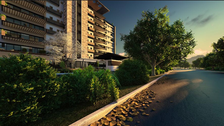 imagenes proyecto