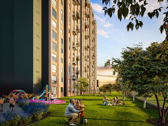 imagenes proyecto