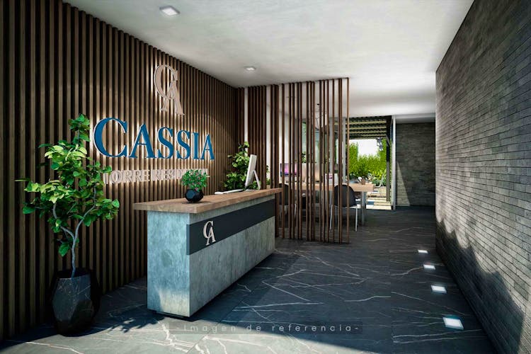 imagenes proyecto