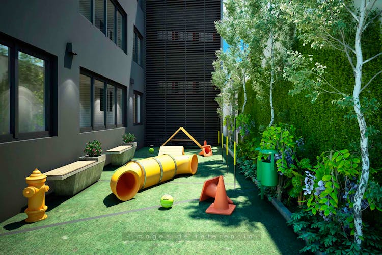 imagenes proyecto