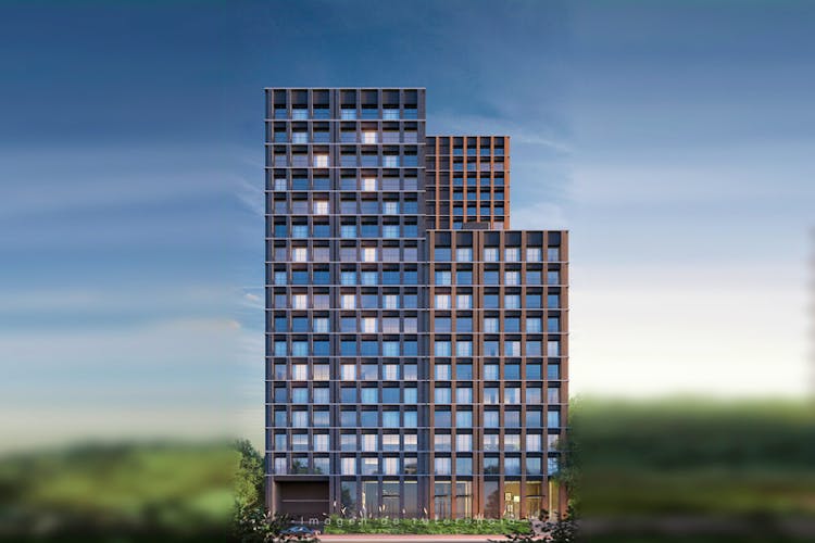 imagenes proyecto