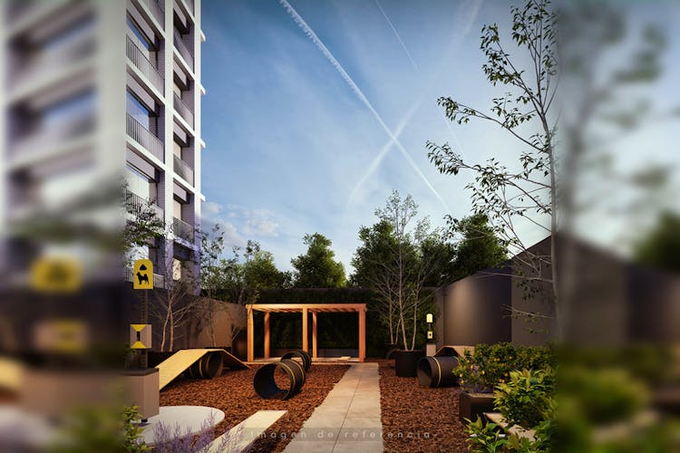 imagenes proyecto